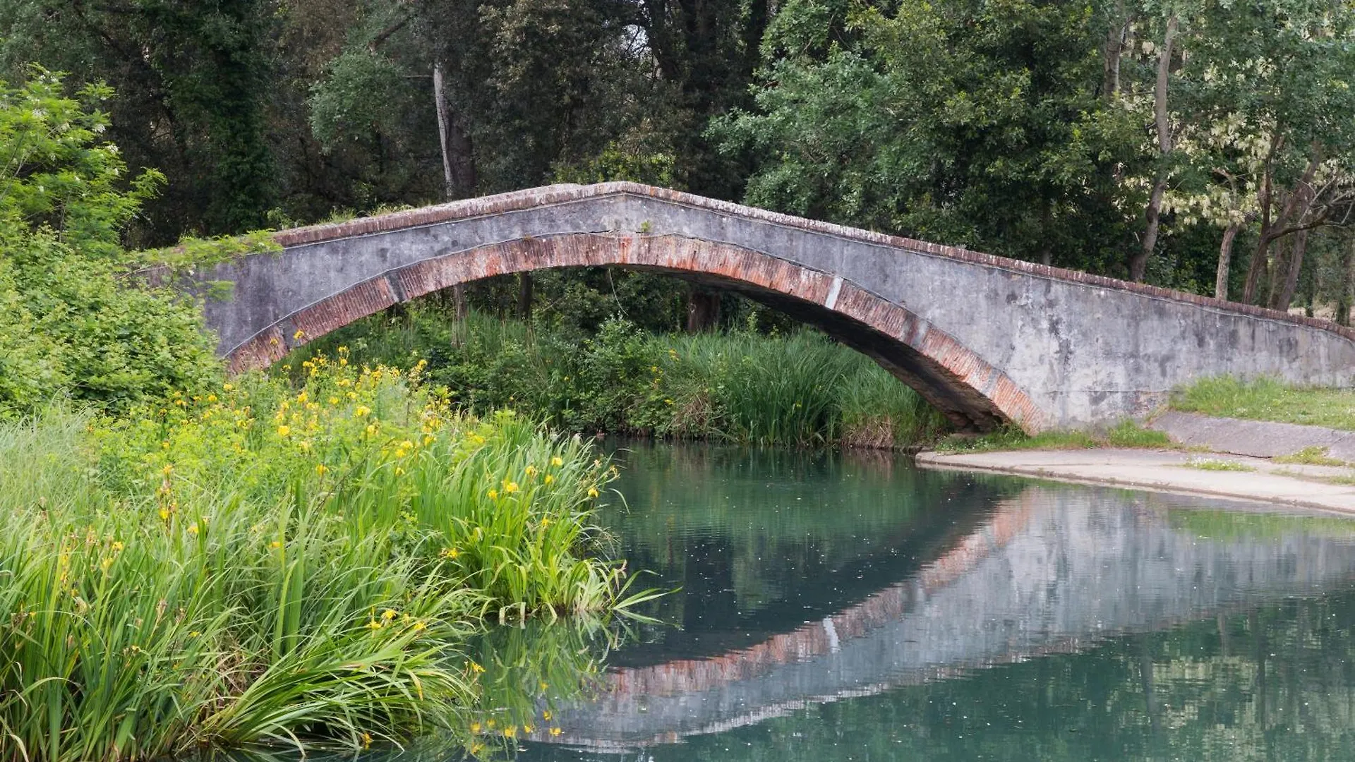 Casa Davide With Pool - Happy Rentals Pietrasanta Dom wakacyjny